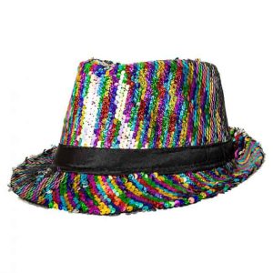 Fedora feesthoedje met zwarte band pailletten Pride regenboog